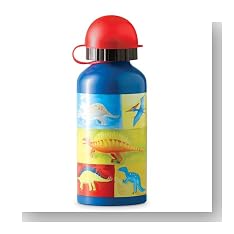 Dinosaurs Stainless Steel Drinking Bottle