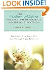 The Mother-to-Mother Postpartum Depression Support Book