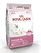 Royal Canin Dry Cat Food, Babycat 34 Formula, 3.5-Pound Bag