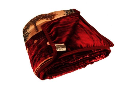 ArchAngel Micro-Plush 2ply Queen Blanket - Life Tree