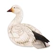 Snow Goose Life Size Sculpture