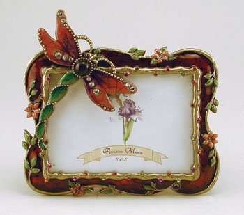 Dragonfly Frame...........Jeweled..Very Beautiful