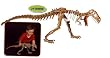 Skin Dinosaur T-Rex