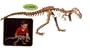Skin Dino T-Rex