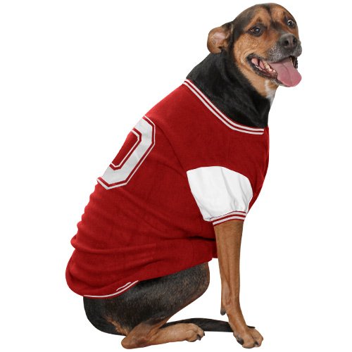 Varsity Jacket - Ohio State University - Medium