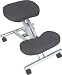 POSTURE Ergonomic Posture Kneeling Chair (with Steel Frame)