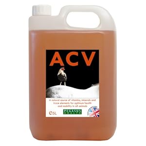 Pegasus Health Apple Cider Vinegar with 'Mother' 5 Litre