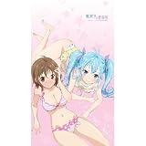 電波女と青春男　エリオ＆リュウシ（流子やっちゅうに）　マルチタペストリーのれん