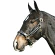 Deluxe Fancy Stitched Lined Leather Halter - Black/Black