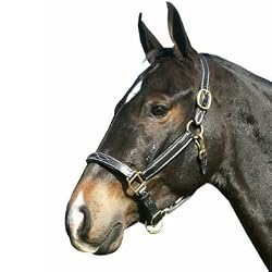 Deluxe Fancy Stitched Lined Leather Halter - Black/Black