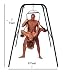 Universal Sex Swing Stand