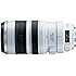 Canon EF 100-400mm f/4.5-5.6L IS USM Telephoto Zoom Lens for Canon SLR Cameras