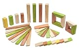 Tegu Explorer Set: Jungle Magnetic Blocks (40 pcs)