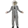 Beetlejuice Deluxe Beetlejuice Teen Costume Teen (Teen)