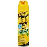 Raid Ant and Roach Aerosol, Lemon Scent, 17.5-Ounce