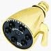 Tools & Hardware : Speakman Co. S2252AFPBL ANYSTREAM 6-Jet Showerhead