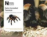 TKC National History Museum Remote Controlled Tarantula