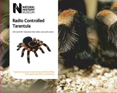 TKC National History Museum Remote Controlled Tarantula