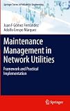 Maintenance Management in Network Utilities: Framework and Practical Implementation (Springer Series in Reliability Engineering)