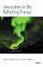 Innovations in the Reflecting Process (Systemic Thinking & Practice)