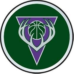 Milwaukee Bucks Color Auto Emblem - Basketball Sports Merchandise