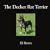 The Decker Rat Terrier