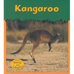 Kangaroo (Zoo Animals)