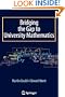 Bridging the Gap to University Mathematics