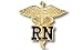 EMI Rn Registered Nurse Emblem Pin Caduceus