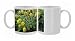 Photo Mugs of DAD-1993 Group of Aeonium arboreum from Ardea Wildlife Pets