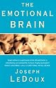 The Emotional Brain: The Mysterious Underpinnings of Emotional Life
