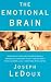 The Emotional Brain: The Mysterious Underpinnings of Emotional Life