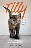 Tilly : the ugliest cat in the shelter : how I rescued her and she rescued me