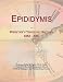 Epididymis: Webster's Timeline History, 1882 - 2007