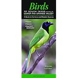 birds of south texas incl the lower rio grande valley a guide to common  notable species quick reference guides
