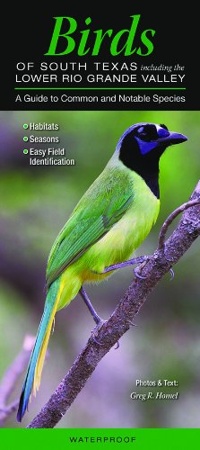 Birds of South Texas, Including the Lower Rio Grande Valley: A Guide to Common and Notable Species (Quick Reference Guides)