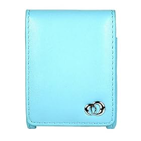 Apple Nano 3rd Generation Leather Carrying Case with Belt Clip