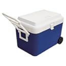 キャプテンスタッグ(CAPTAIN STAG) リガード ホイールクーラー48L ブルー M-5059