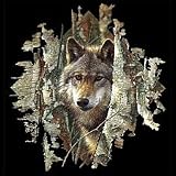 Look For Wolf~woodland Spirit Womens Scoop Neck T Shirt Right Now Wolf~woodland Spirit Womens Scoop Neck T-Shirt
