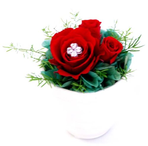 RoseinHeartJewel