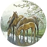 Set of Four Taste of Spring Coasters Style - TSPCW3