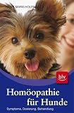 Homöopathie für Hunde: Symptome, Diagnose und Dosierung