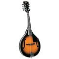 Rover Student Mandolin - Spruce (RM-25S)