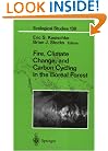 Fire, Climate Change, and Carbon Cycling in the Boreal Forest (Ecological Studies)