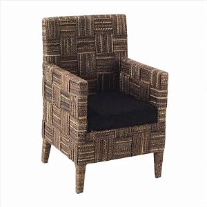 Solstice Arm Dining Chair Fabric: Black