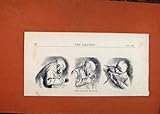 IMAGE OF German Caricatures Bad Ppen C1871 The Graphic Print