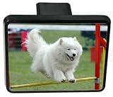 Samoyed Trailer Hitch Cover 414zWidhDlL. SL160 Samoyed Trailer Hitch Cover