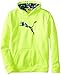 PUMA Boys' Big Cat Hoodie (Little Kid/Big Kid), Acid Yellow, Medium