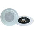8" 2-Way 200-Watt In-Ceiling Speaker