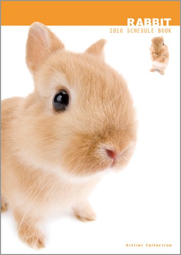 THE DOGタ゛イアリー(THE RABBIT) 2010年 カレンダー